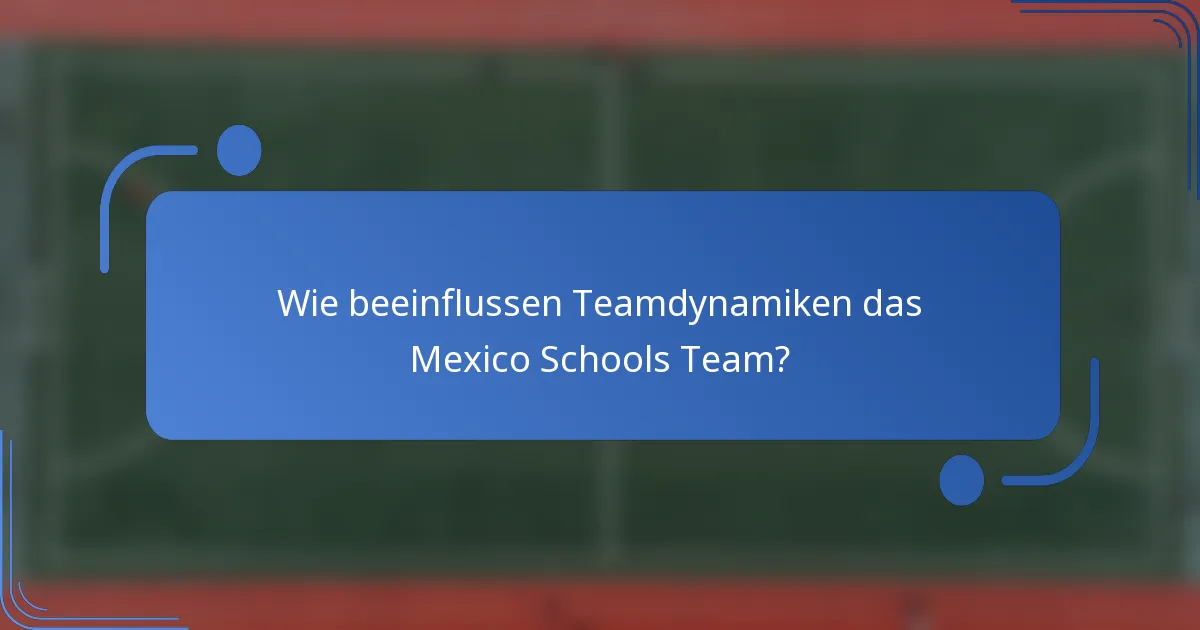 Wie beeinflussen Teamdynamiken das Mexico Schools Team?